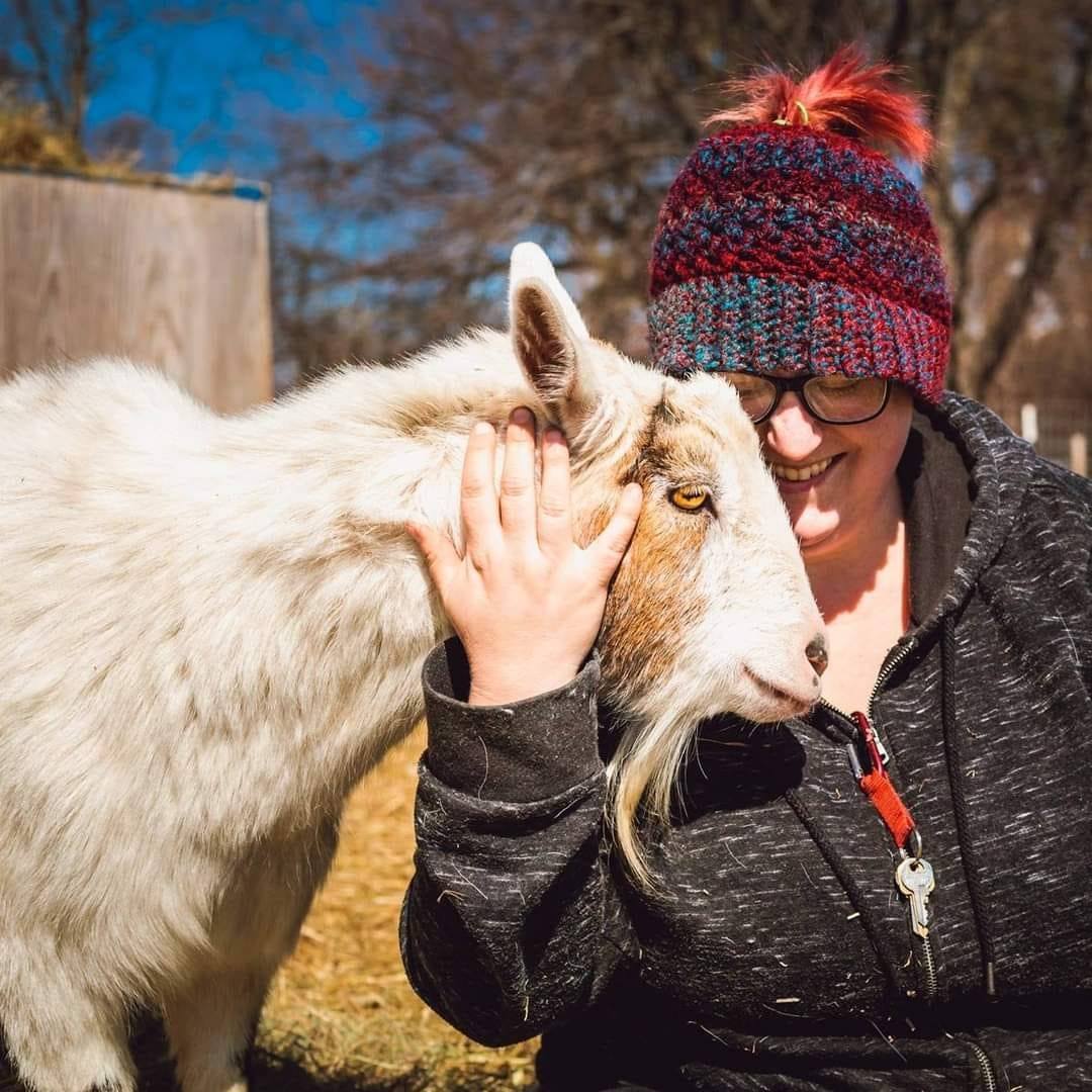 Sanctuary Spotlight: Tiny Hooves Animal Sanctuary