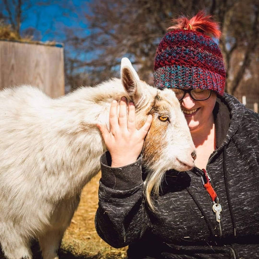 Sanctuary Spotlight: Tiny Hooves Animal Sanctuary